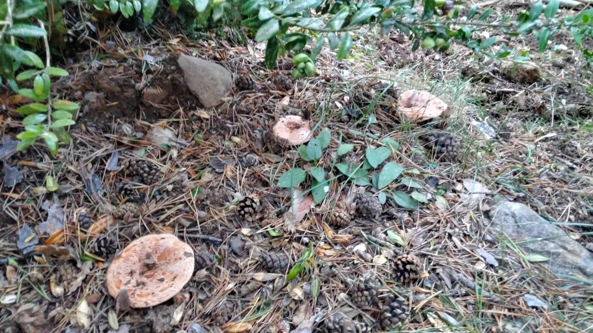 Appartamento Ensija Pedraforca Saldés Esterno foto